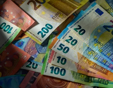Miniatura: Kursy walut 5 lutego 2025. Po ile euro,...